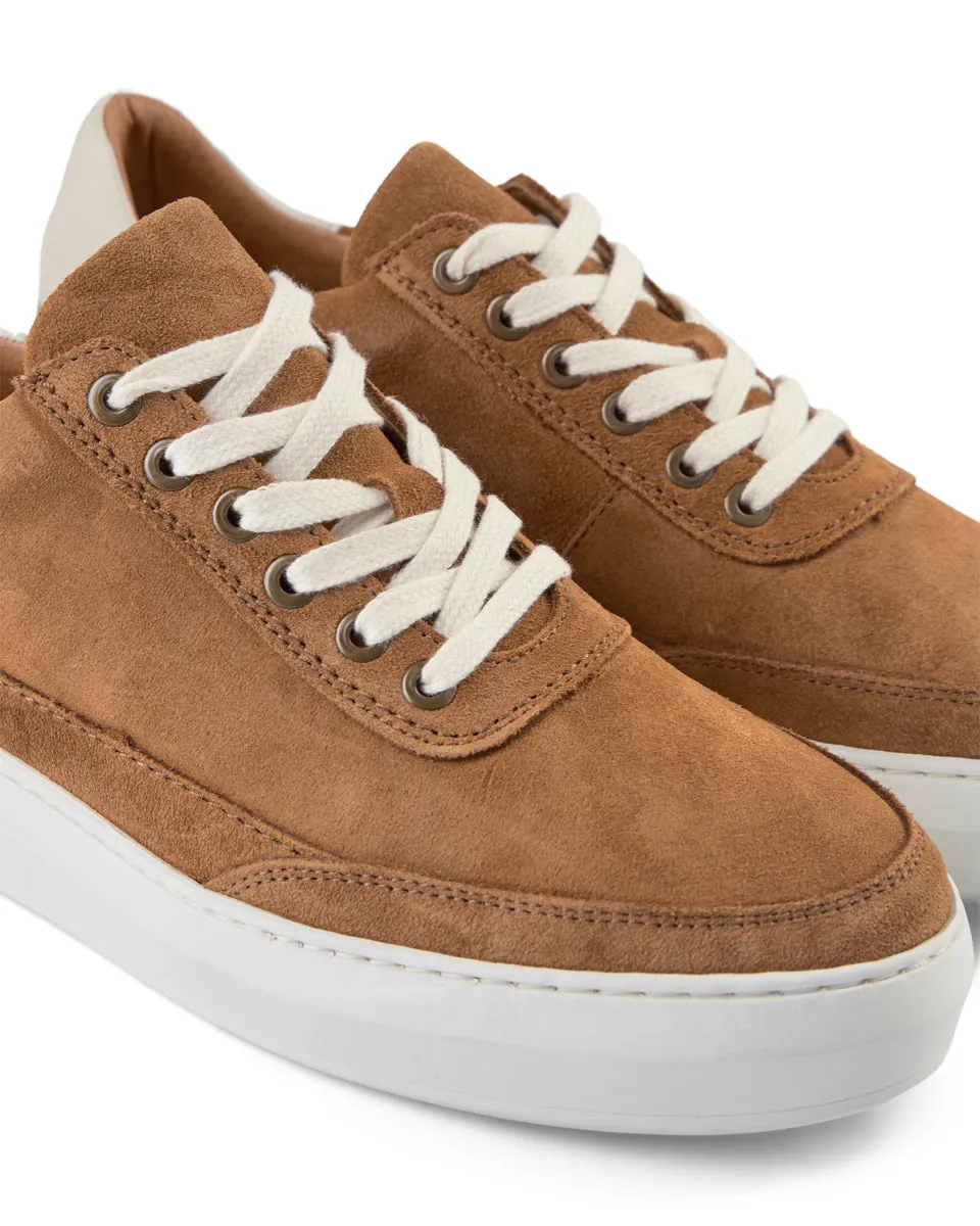 Aren Suede Sneaker - TAN